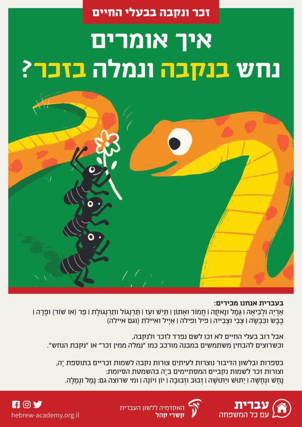 Festive Poster Set<br/> (January 2021)