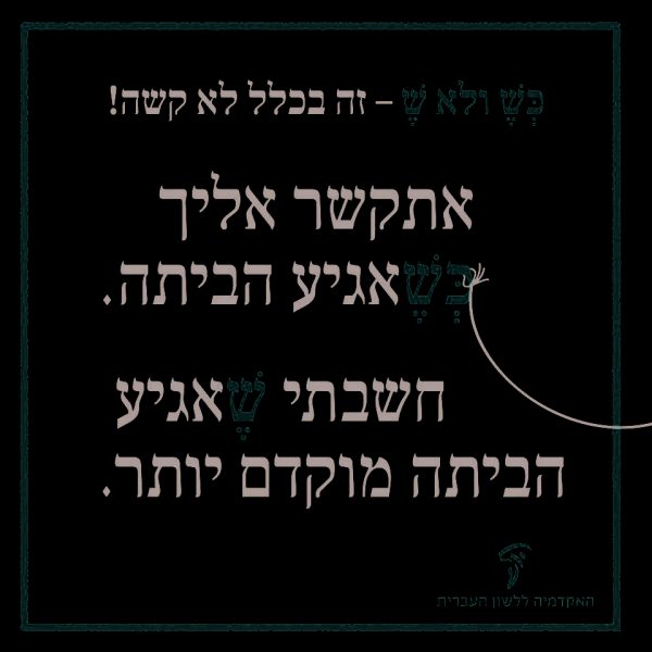 ⁦ערכת כרזות חגיגית ליום העברית תשע"ט⁩ – תמונה ⁦7⁩