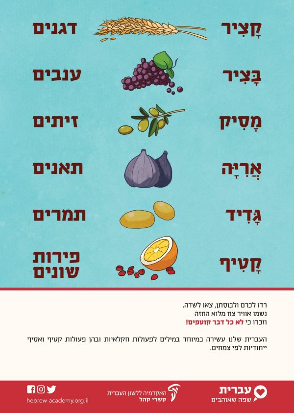 ⁦ערכת כרזות חגיגית ליום העברית תש"ף⁩ – תמונה ⁦2⁩