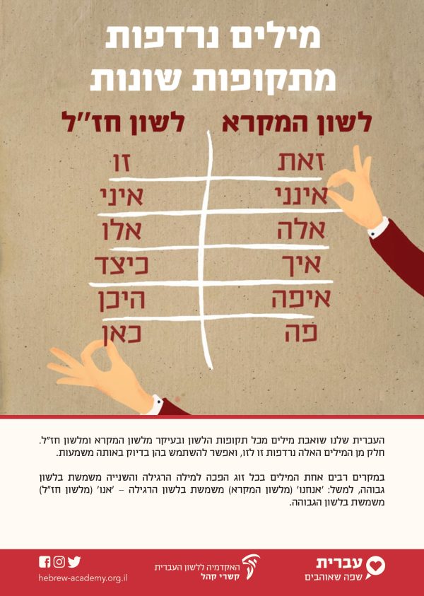 ⁦ערכת כרזות חגיגית ליום העברית תש"ף⁩ – תמונה ⁦9⁩