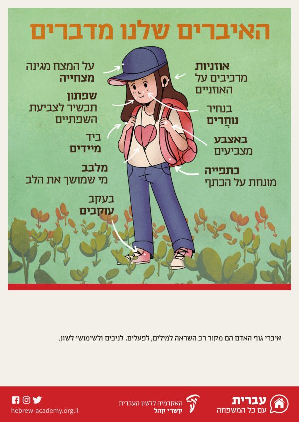 ⁦ערכת כרזות חגיגית (תשפ"א)⁩ – תמונה ⁦7⁩